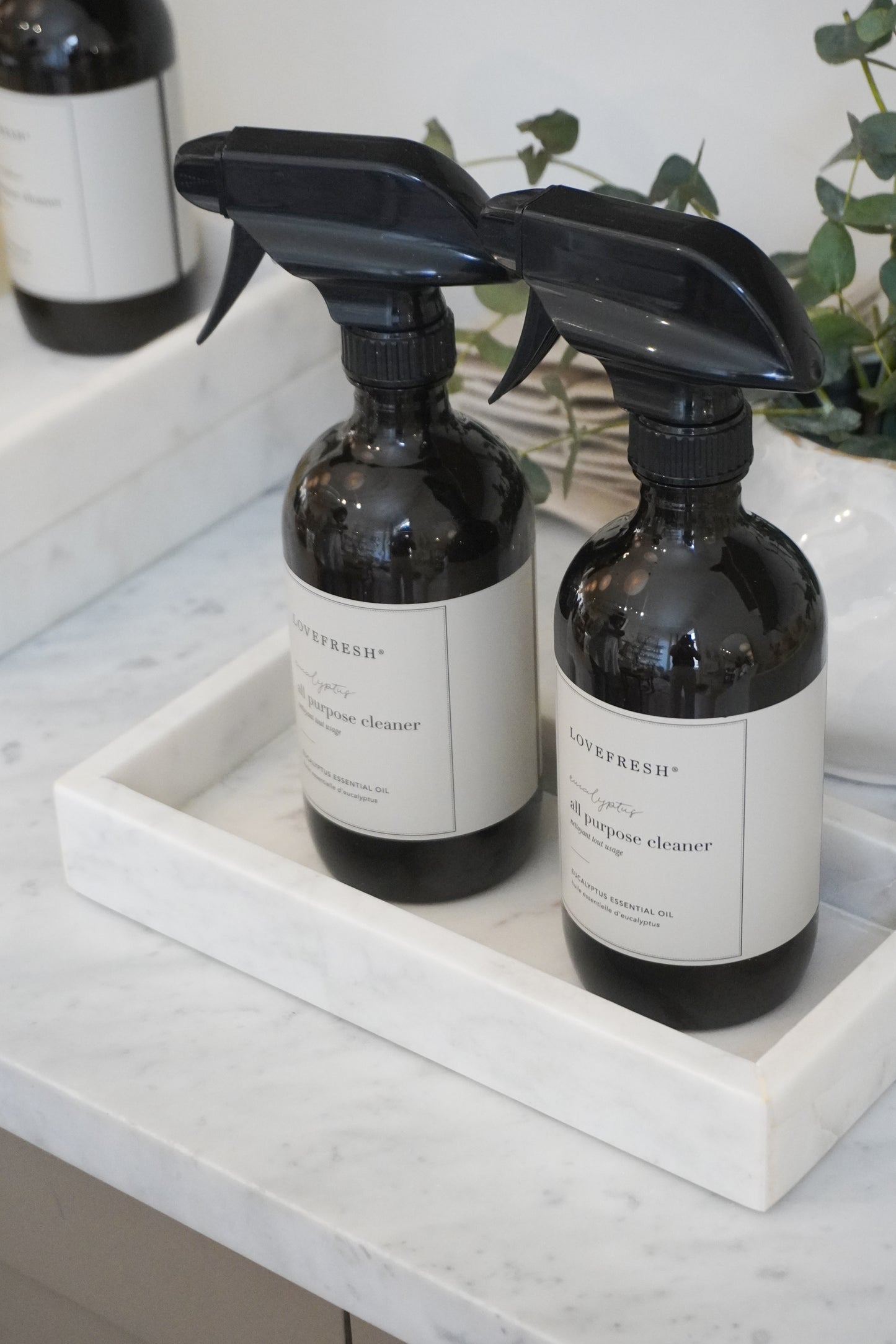 ALL PURPOSE CLEANER